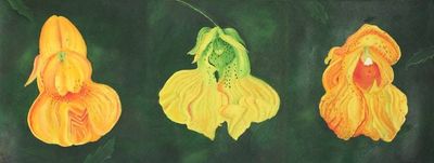 Image for Original Floral Oil Painting on Canvas in Yellows and Greens Three Sisters