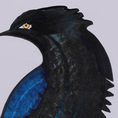 Alternate image for Acrylic on Paper Painting of Exotic Bird in Black and Blue Midnight Plumage