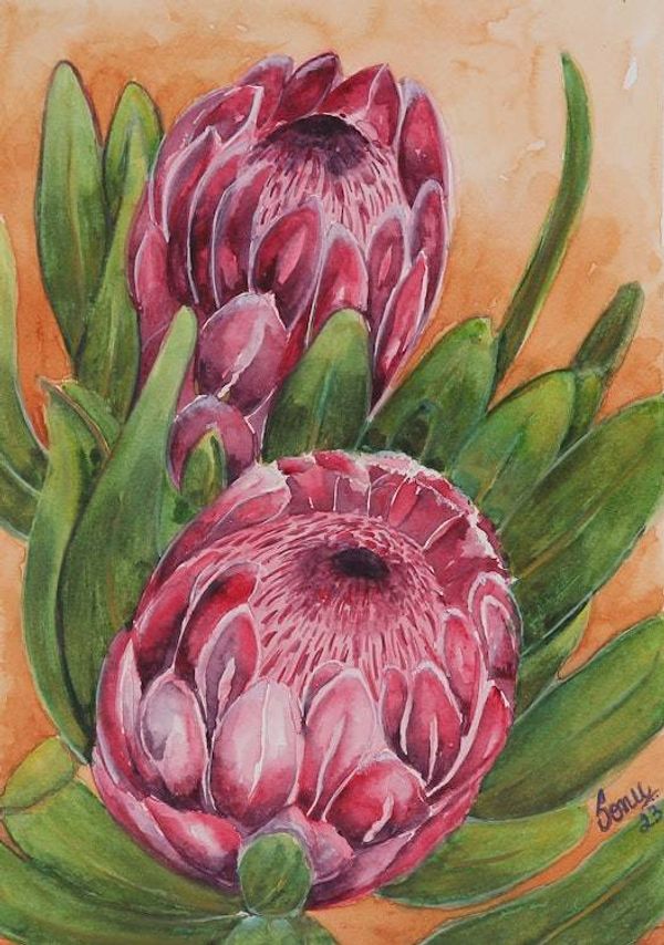 Alternate image for Protea Flower-Themed Watercolor on Paper Painting from India Protea Elegance