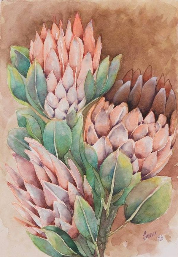 Alternate image for Watercolor on Paper Painting of Protea Flowers with Leaves Protea Splendour