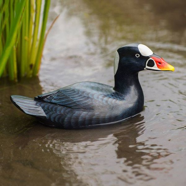 Alternate image for Hand Made Suar Wood Duck Statuette Surf Scoter