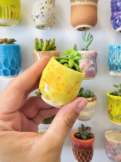Alternate image for One Mini Pot - Mini Fridge Magnet Planter