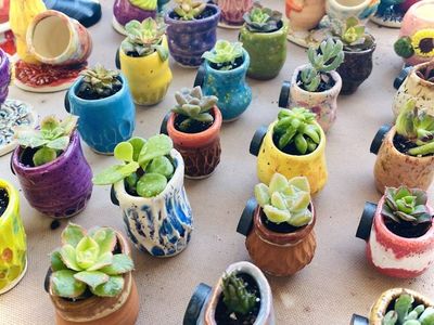 Alternate image for One Mini Pot - Mini Fridge Magnet Planter