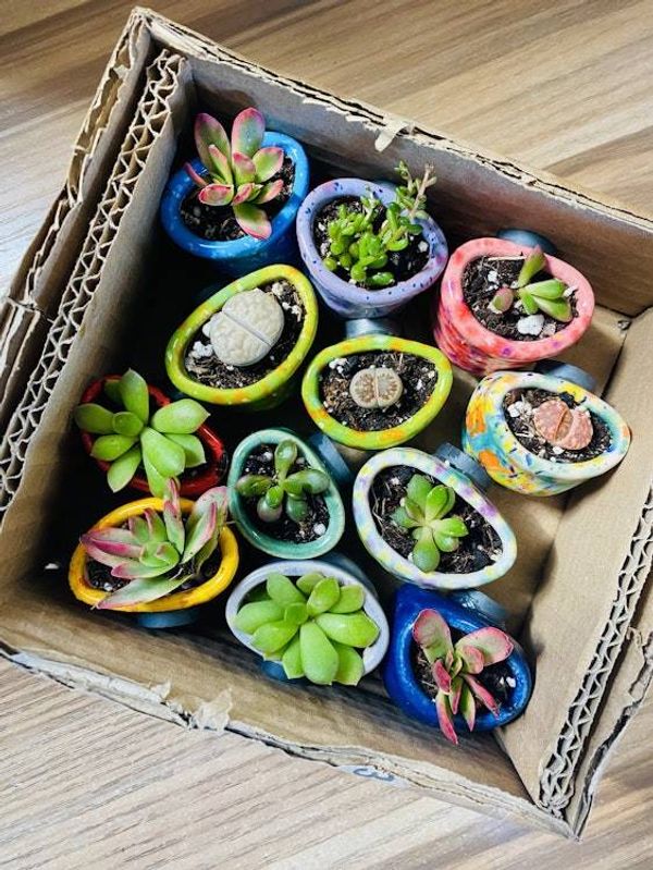 Alternate image for One Mini Pot - Mini Fridge Magnet Planter