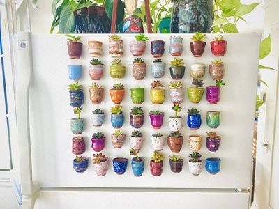 Alternate image for One Mini Pot - Mini Fridge Magnet Planter