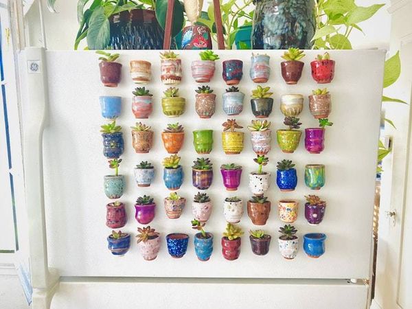 Alternate image for One Mini Pot - Mini Fridge Magnet Planter
