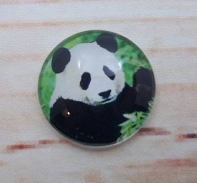 Alternate image for Adorable Panda Bear Fridge Magnets