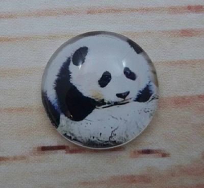 Alternate image for Adorable Panda Bear Fridge Magnets