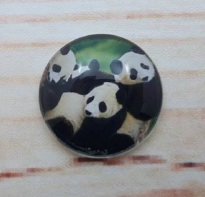 Alternate image for Adorable Panda Bear Fridge Magnets