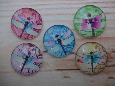 Alternate image for Beautiful Dragonfly Fridge Magnets