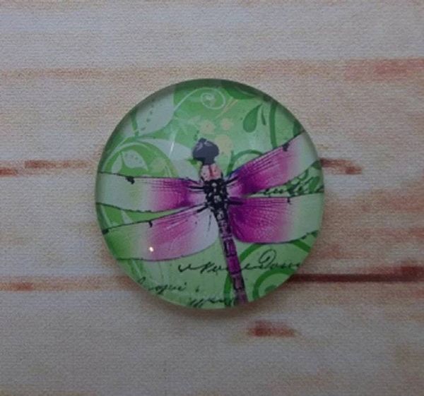 Alternate image for Beautiful Dragonfly Fridge Magnets