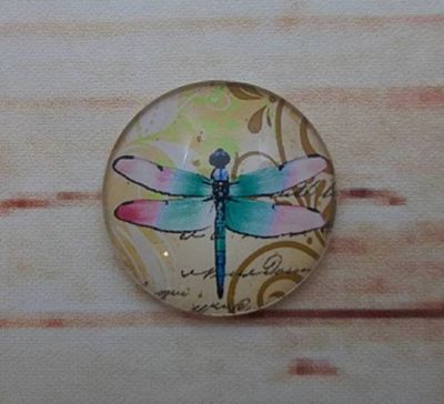Alternate image for Beautiful Dragonfly Fridge Magnets
