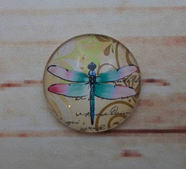 Alternate image for Beautiful Dragonfly Fridge Magnets