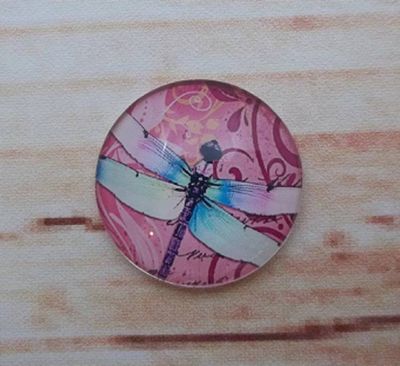 Alternate image for Beautiful Dragonfly Fridge Magnets