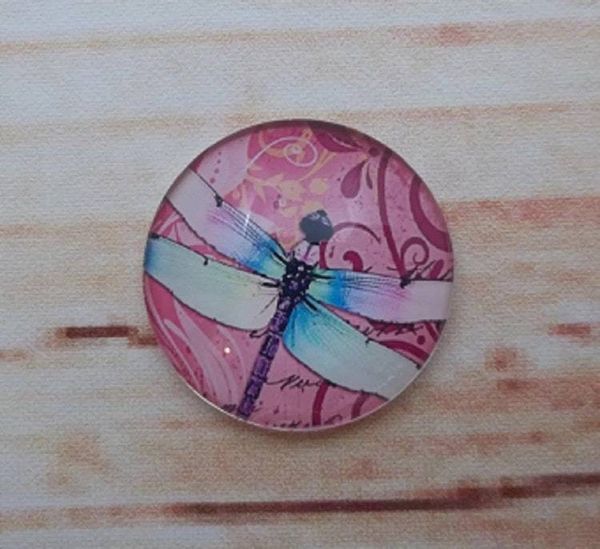 Alternate image for Beautiful Dragonfly Fridge Magnets