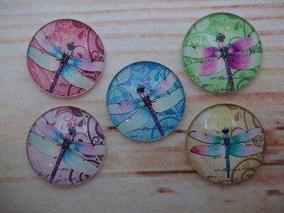 Alternate image for Beautiful Dragonfly Fridge Magnets