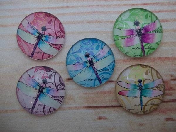 Alternate image for Beautiful Dragonfly Fridge Magnets