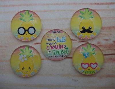 Alternate image for Crazy Pineapple Fridge Magnets