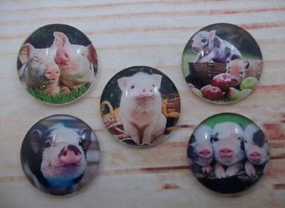 Alternate image for Cute Piggies Fridge Magnets