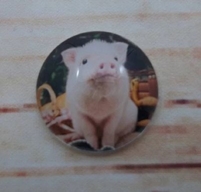 Alternate image for Cute Piggies Fridge Magnets