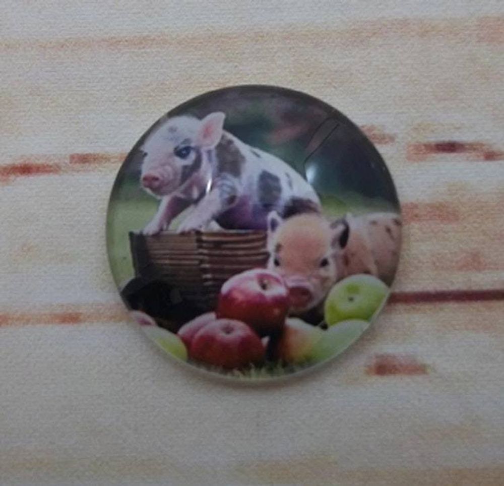 Alternate item image