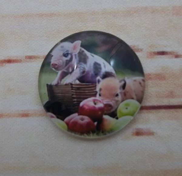 Alternate image for Cute Piggies Fridge Magnets
