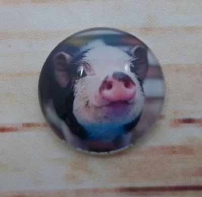 Alternate image for Cute Piggies Fridge Magnets