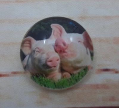 Alternate image for Cute Piggies Fridge Magnets