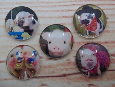 Alternate image for Adorable Piggies Fridge Magnets