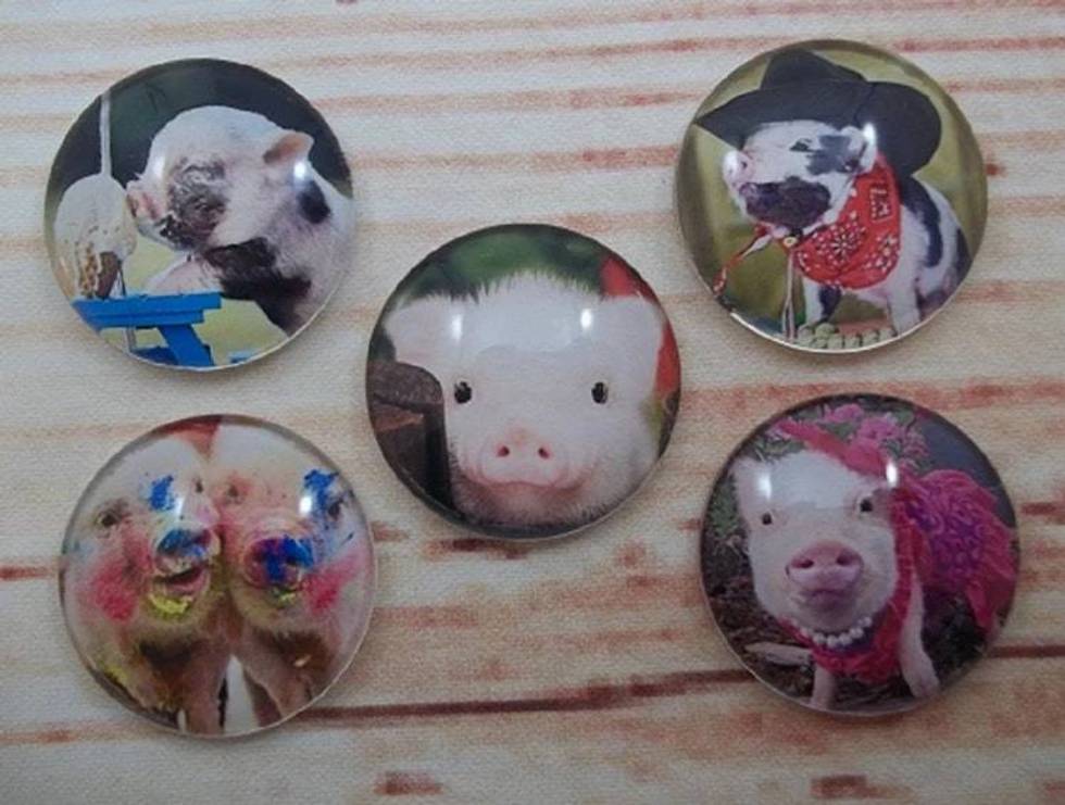 Adorable Piggies Fridge Magnets