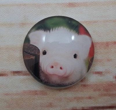 Alternate image for Adorable Piggies Fridge Magnets