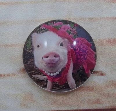 Alternate image for Adorable Piggies Fridge Magnets