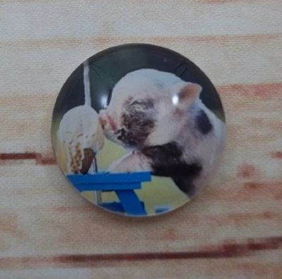 Alternate image for Adorable Piggies Fridge Magnets