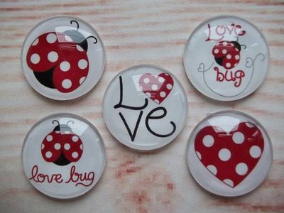 Alternate image for Ladybug Fridge Magnets
