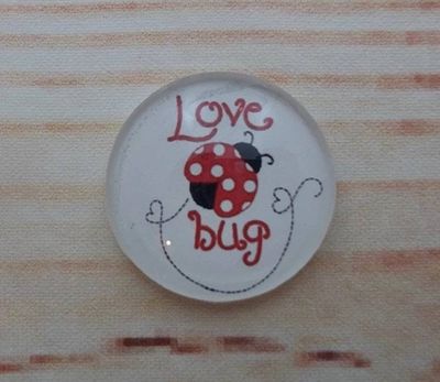 Alternate image for Ladybug Fridge Magnets