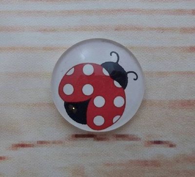 Alternate image for Ladybug Fridge Magnets