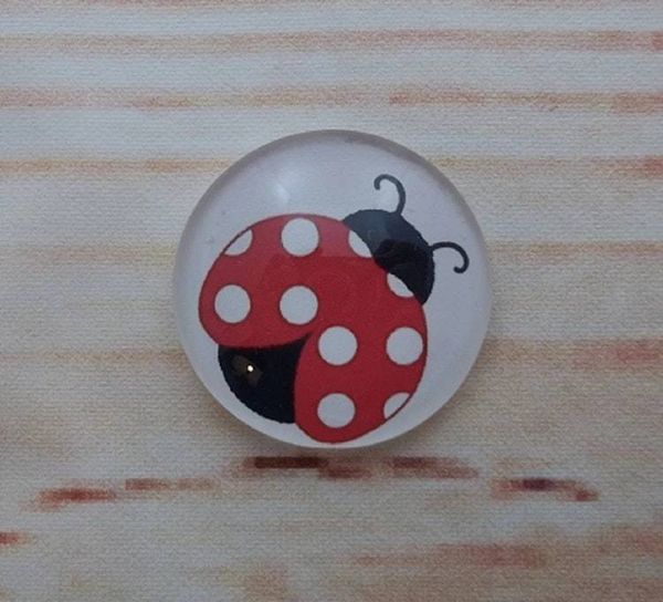 Alternate image for Ladybug Fridge Magnets