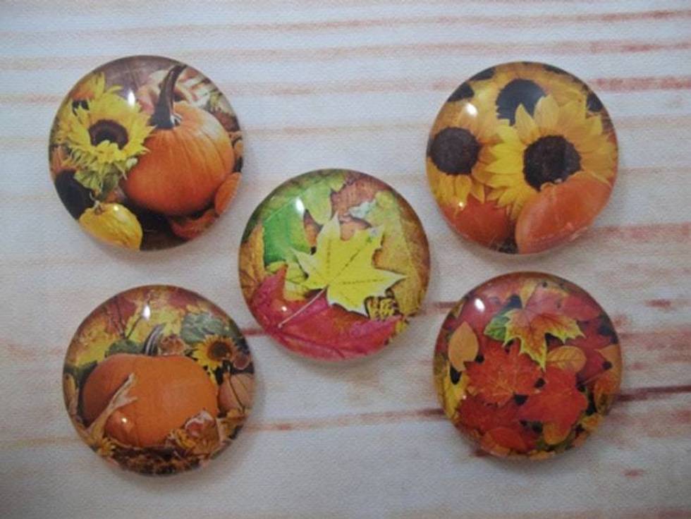 Beautiful Autumn Fridge Magnets