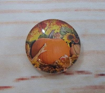 Alternate image for Beautiful Autumn Fridge Magnets