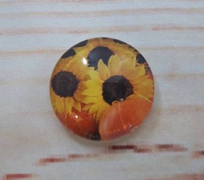 Alternate image for Beautiful Autumn Fridge Magnets