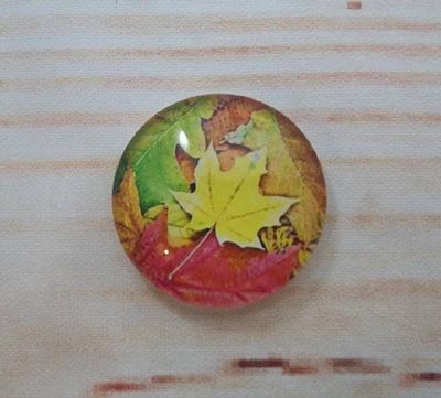 Alternate image for Beautiful Autumn Fridge Magnets
