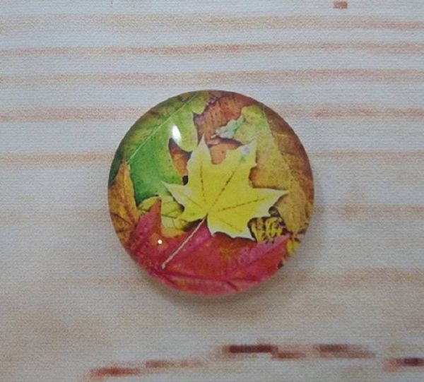 Alternate image for Beautiful Autumn Fridge Magnets