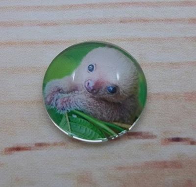 Alternate image for Adorable Sloth Fridge Magnets