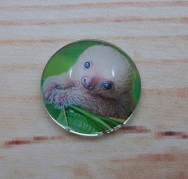 Alternate image for Adorable Sloth Fridge Magnets