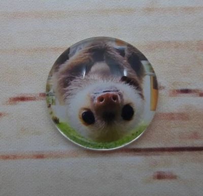 Alternate image for Adorable Sloth Fridge Magnets