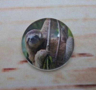 Alternate image for Adorable Sloth Fridge Magnets