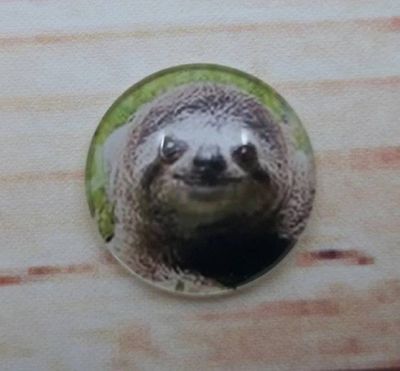 Alternate image for Adorable Sloth Fridge Magnets