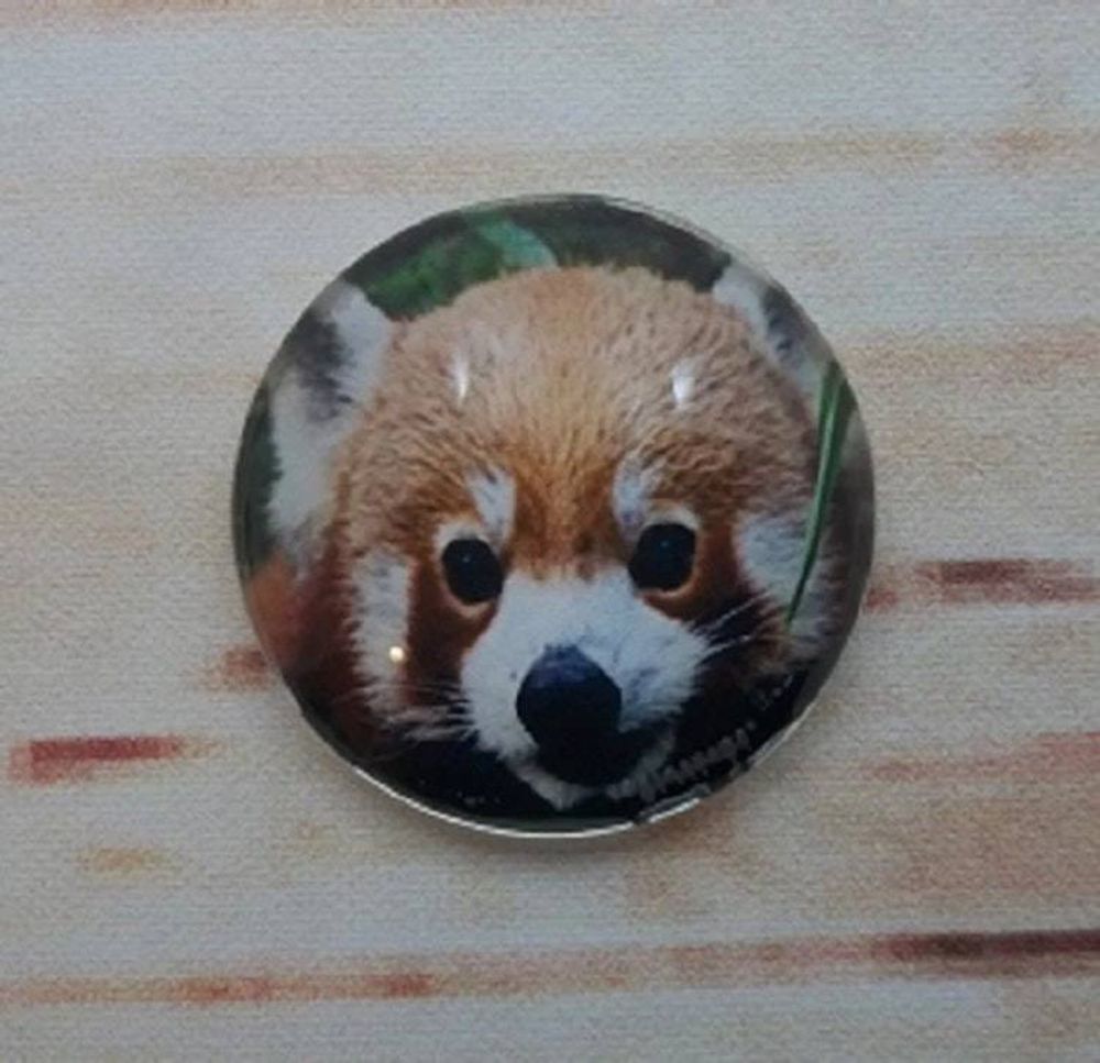 Alternate item image