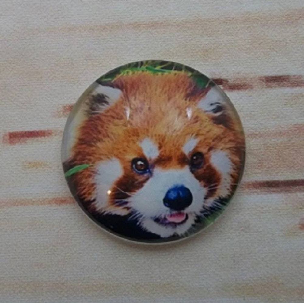 Alternate item image
