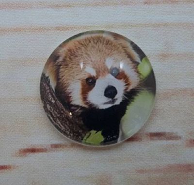 Alternate image for Adorable Red Panda Fridge Magnets